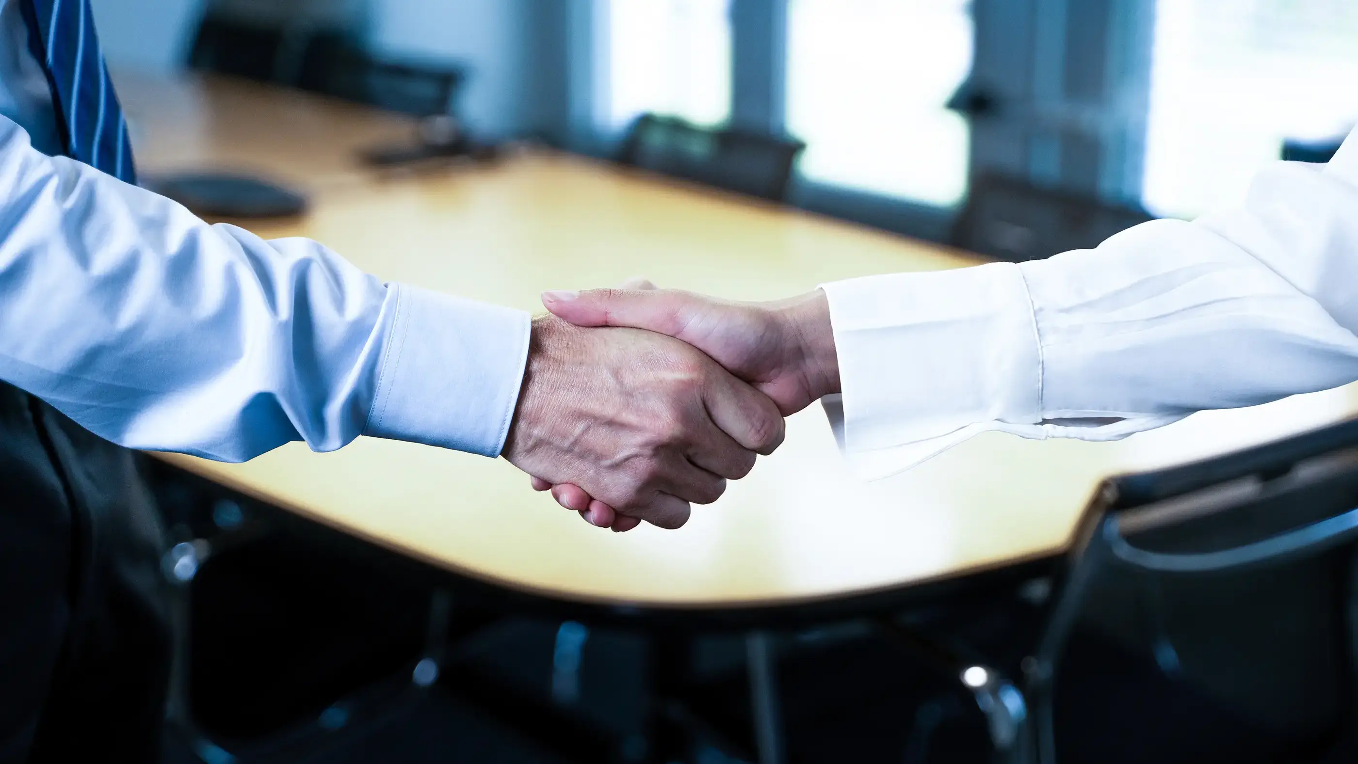 bibus-partner-handshake